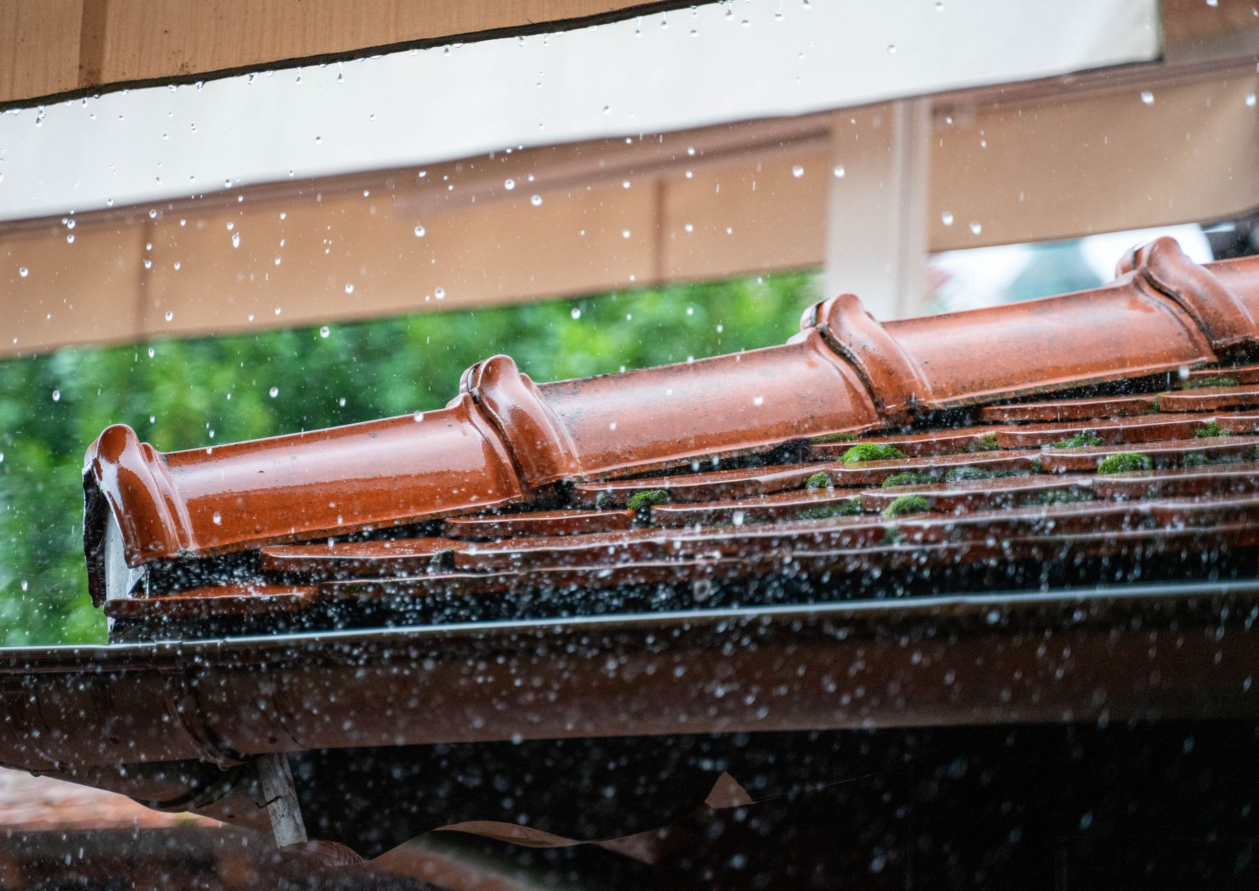 Seamless Gutter Install – Holland