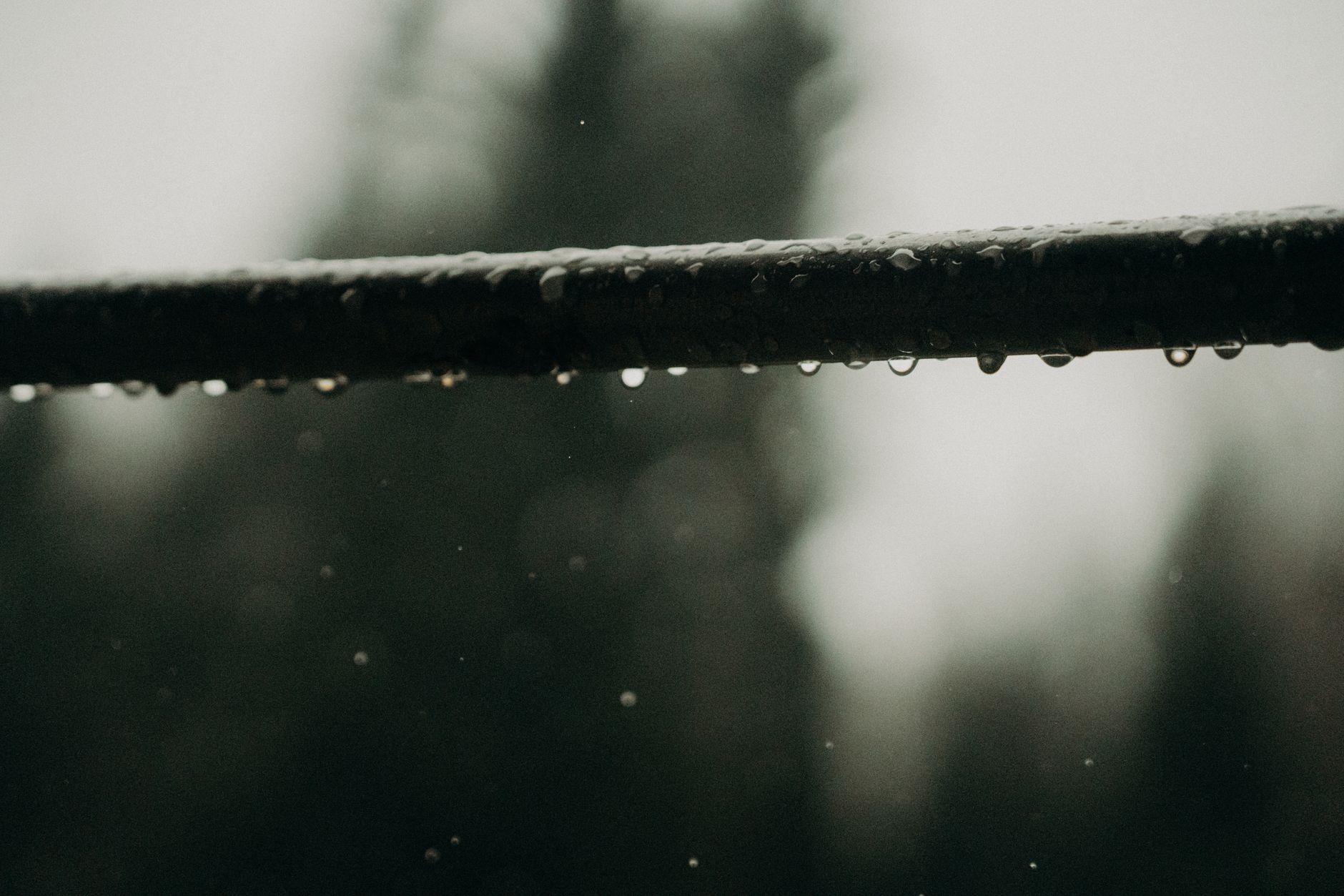 Gutter Cleaning – Holland
